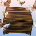 Charred Wood Music Box
